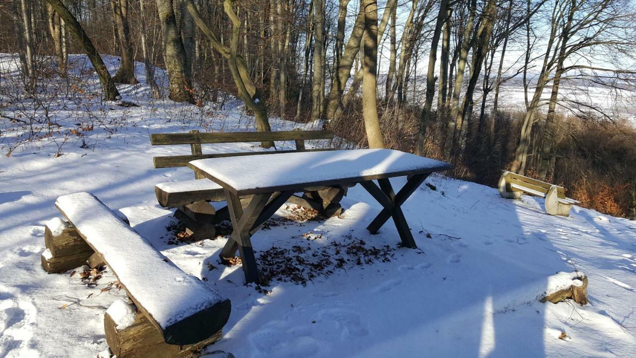 Ferienwohnung Bleicherode Zewnętrze zdjęcie